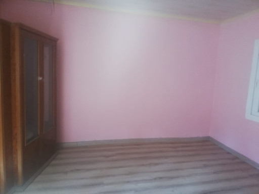 Fotoğraf