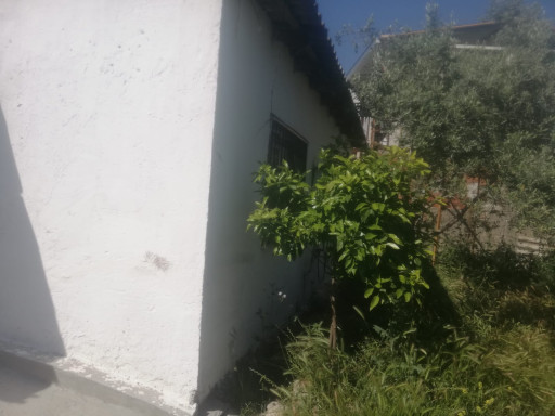 Fotoğraf