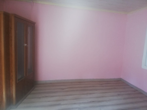 Fotoğraf