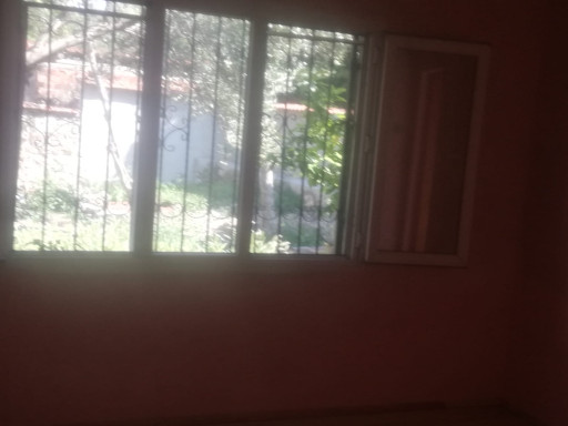 Fotoğraf