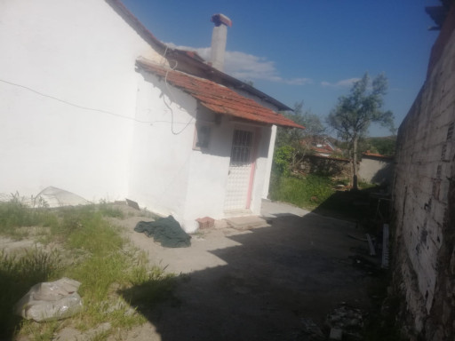 Fotoğraf