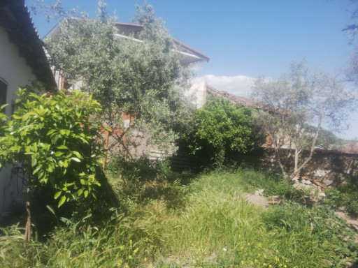Fotoğraf