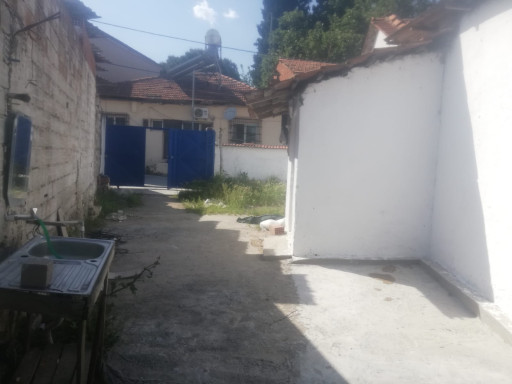Fotoğraf