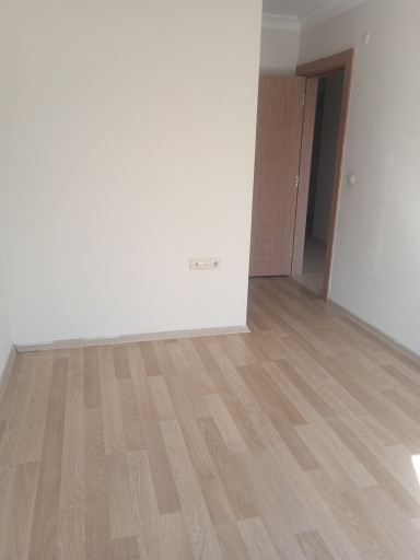 Fotoğraf