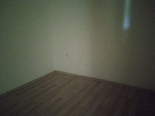 Fotoğraf