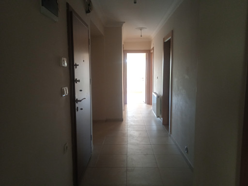 Fotoğraf