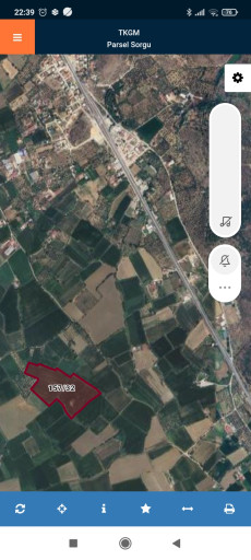Fotoğraf