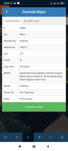 Fotoğraf