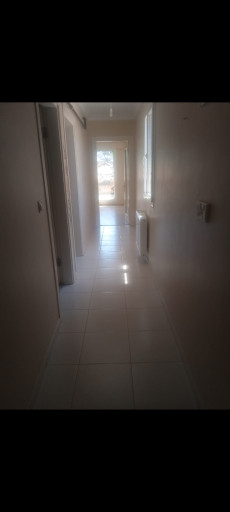 Fotoğraf